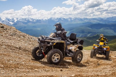 Квадроцикл СТЕЛС ATV 650 Guepard Trophy EPS CVTech (ПСМ)