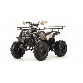 Квадроцикл MOTOLAND 125 FOX