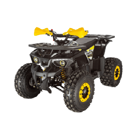 Квадроцикл AVANTIS Classic 8 New