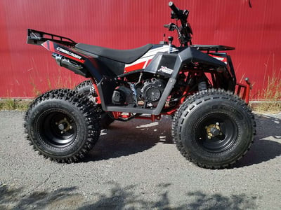 Квадроцикл ATV COMMANDER 200