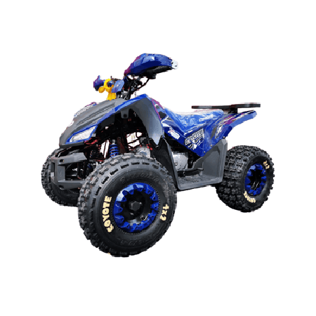 Квадроцикл MOTOLAND 125 COYOTE PRO