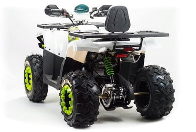 Квадроцикл MOTOLAND ATV 200 WILD TRACK