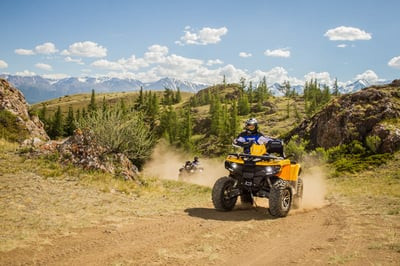 Квадроцикл СТЕЛС ATV 650 Guepard Trophy EPS (ПСМ)