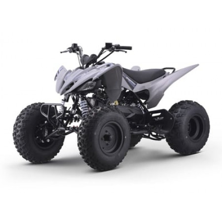 Квадроцикл SHARMAX Razer Race Cup 250