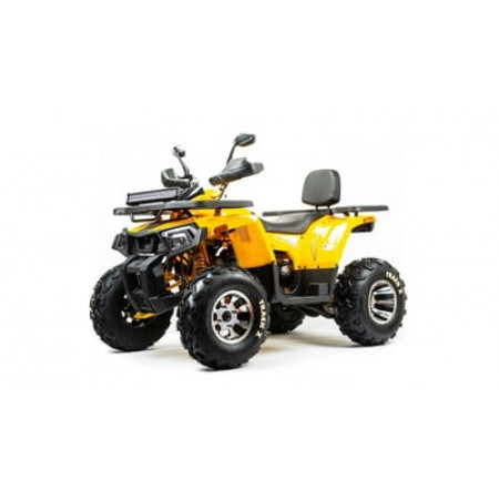 Квадроцикл BISON Track X PRO