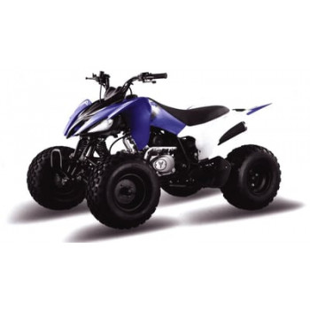 Квадроцикл MOTOLAND 150S