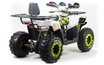 Квадроцикл MOTOLAND ATV 200 WILD TRACK