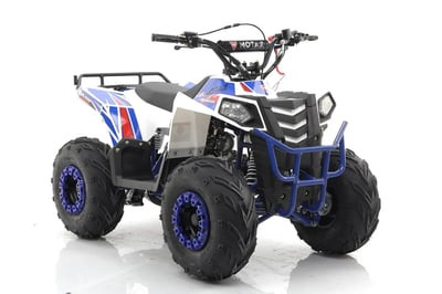 Квадроцикл MOTAX Grizlik A110