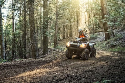 Квадроцикл KAWASAKI Brute Force KVF 750 4x4i EPS (2023) (ПСМ)