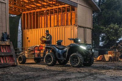 Квадроцикл KAWASAKI Brute Force 750 EPS (2024) (ПСМ)