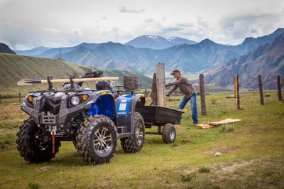 Квадроцикл СТЕЛС ATV 650 Guepard Trophy EPS CVTech (ПСМ)