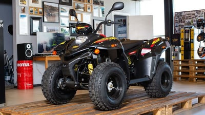 Квадроцикл СТЕЛС ATV 110A HUGO