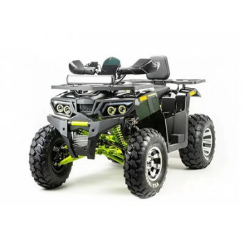 Квадроцикл MOTOLAND 200 WILD TRACK PRO