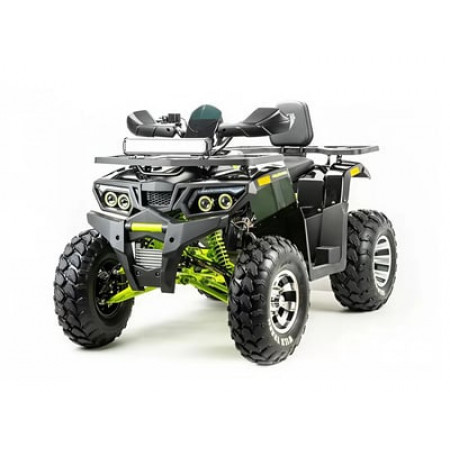 Квадроцикл MOTOLAND 200 WILD TRACK PRO