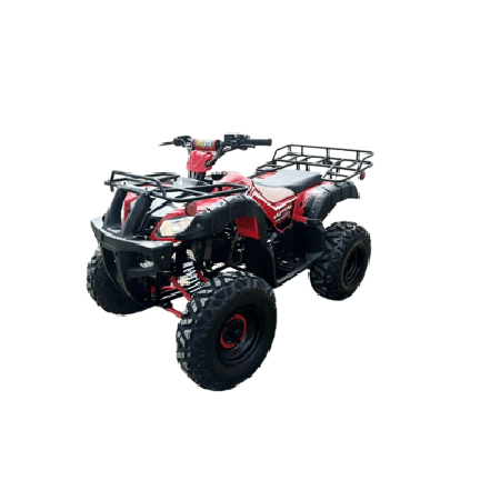 Квадроцикл RAPTOR Madman 200 All