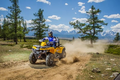 Квадроцикл СТЕЛС ATV 650 Guepard Trophy EPS (ПСМ)
