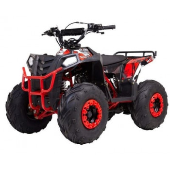 Квадроцикл RAPTOR DUX LUX 8