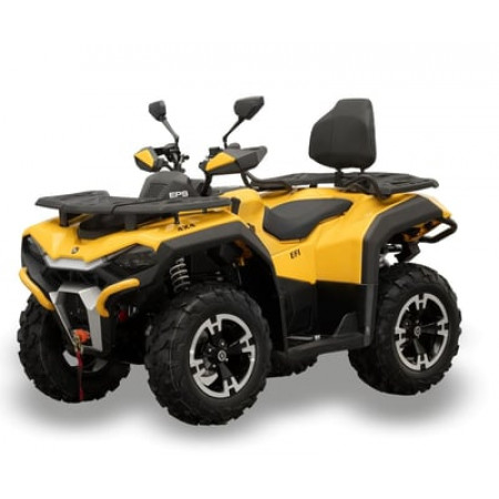 Квадроцикл HISUN Guardian 750 S (ПСМ)