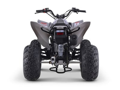 Квадроцикл SHARMAX Razer Race Cup 250