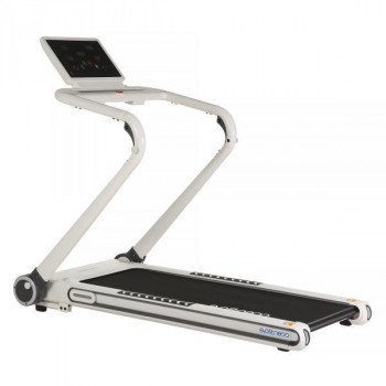 Evo fitness venus