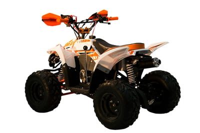 Квадроцикл RACER RC 110 COYOTE