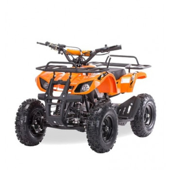 Квадроцикл MOTAX ATV Mini Grizlik X-16 Big Wheel (м/с)