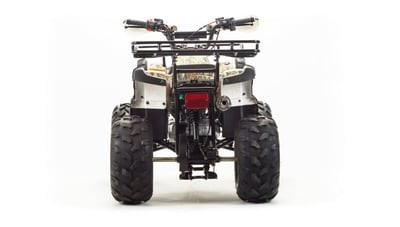 Квадроцикл MOTOLAND 150 FOX