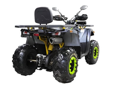 Квадроцикл MOTOLAND 200 WILD TRACK X WINCH