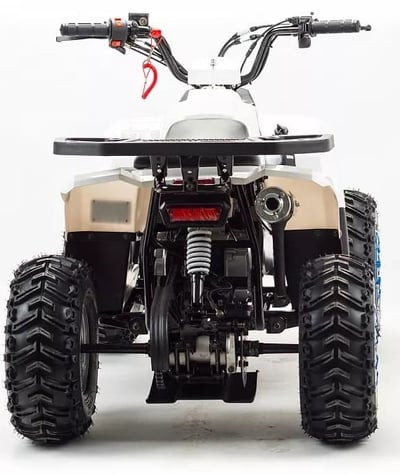 Квадроцикл MZ Eagle 110